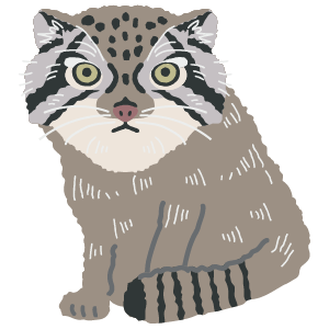 MANUL CAT